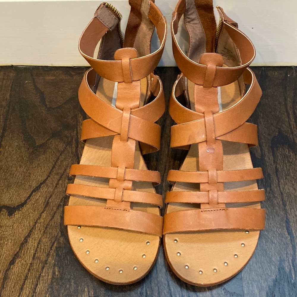 Steve Madden gladiator sandals